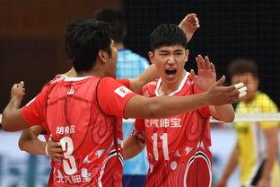 江川资料,传奇人生与辉煌成就的交织