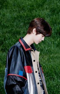 鹿晗shouji背景,鹿晗手机背景下的时尚潮流与个性魅力